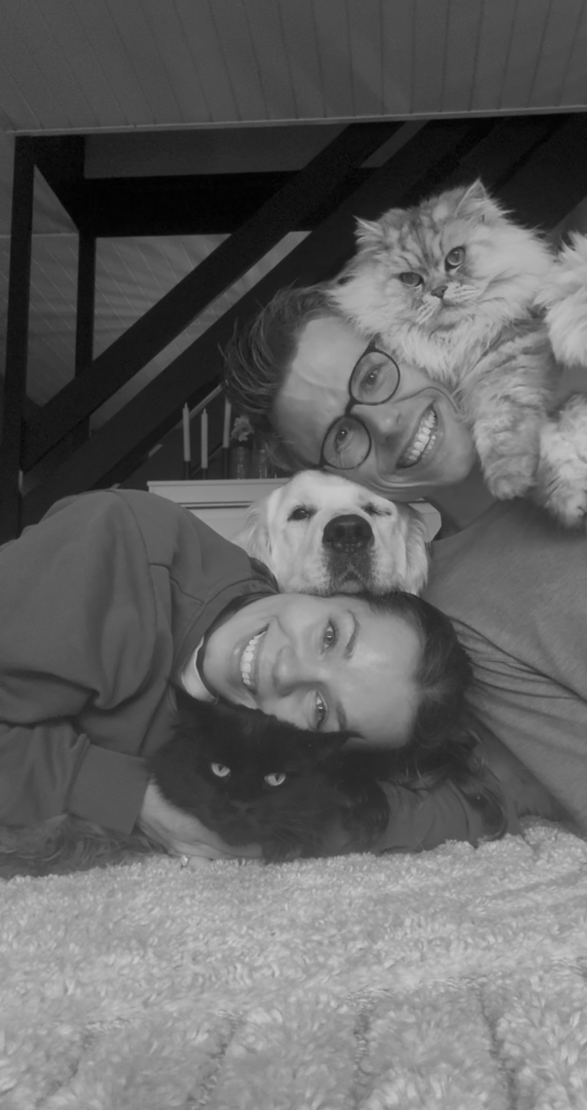 Familiebilde